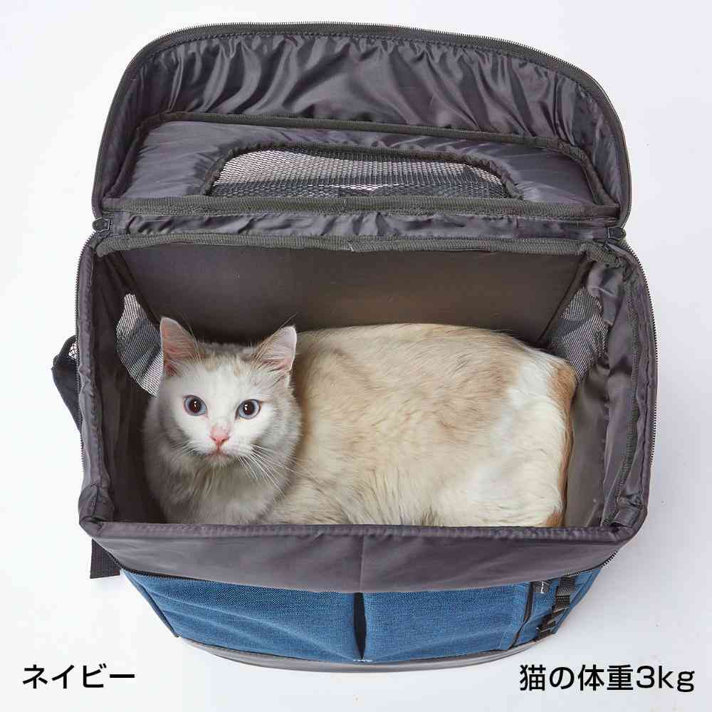 Liscio CAT Backpack Carrier Navy