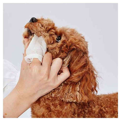 Petio Dental Wipes for Teeth Cleaning 30 Sheets
