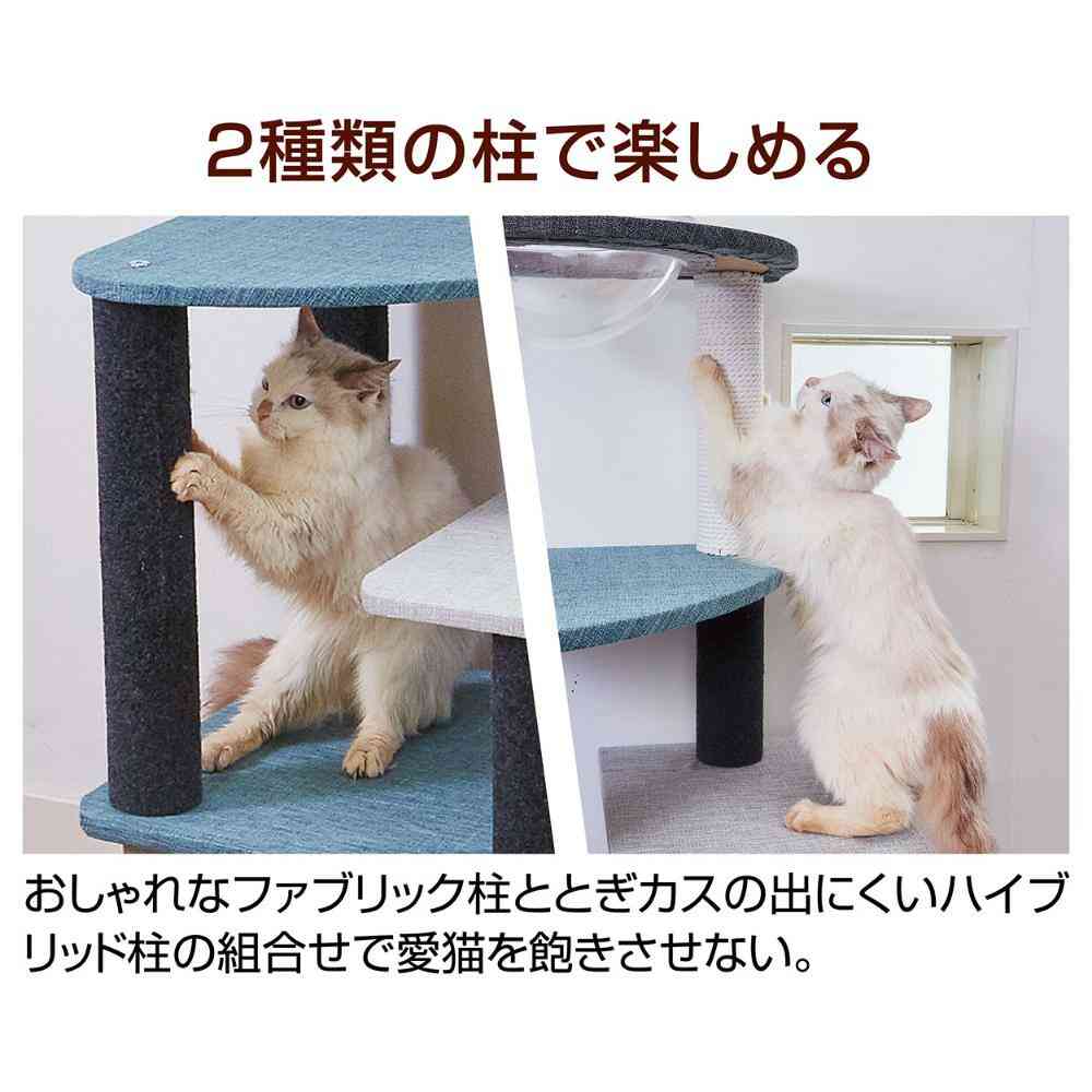 Necoco Cat Living Tower Clear Bowl & House Type