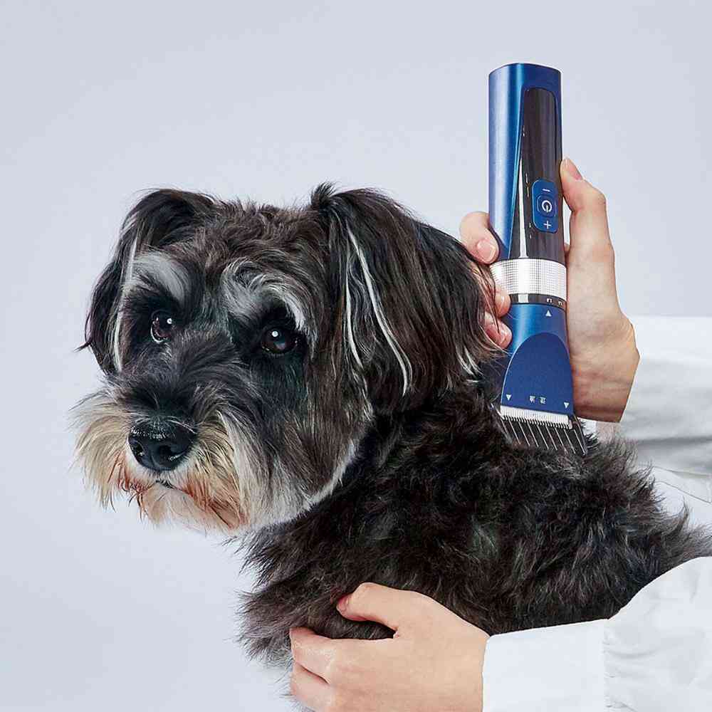Cordless Clipper Professional Regular