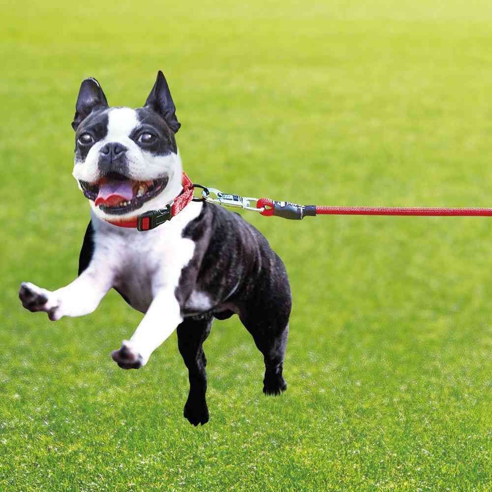 Porta Training Long Lead 15m