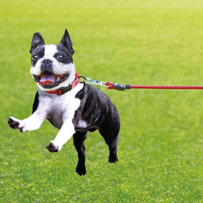 Porta Training Long Lead 15m