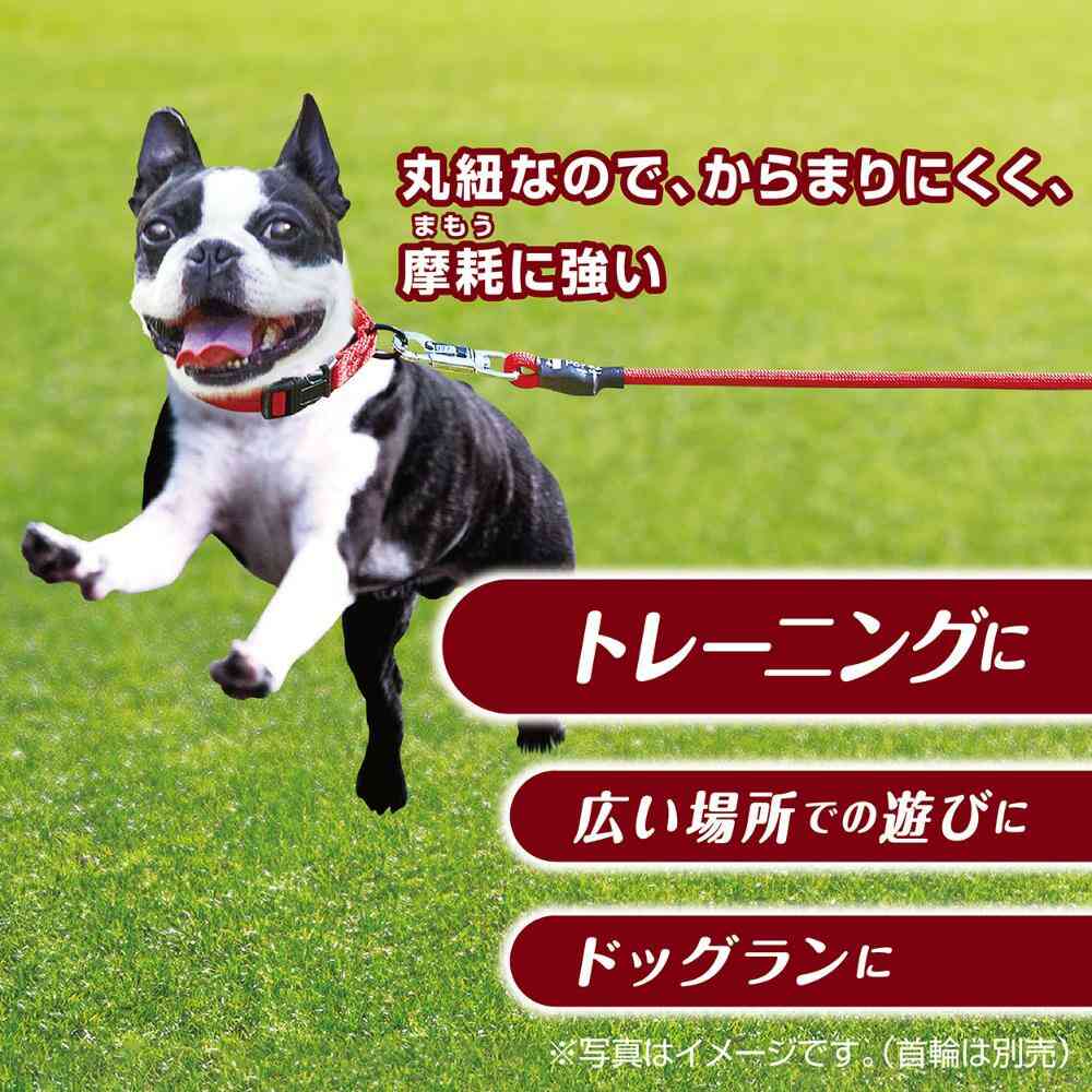 Porta Training Long Lead 15m