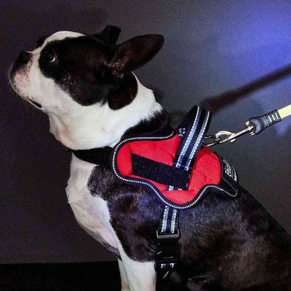 Dog Harness EthicalDoor Easy Wear Harness S