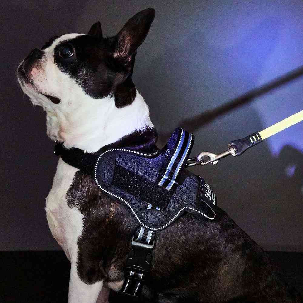 Dog Harness EthicalDoor Easy Wear Harness S