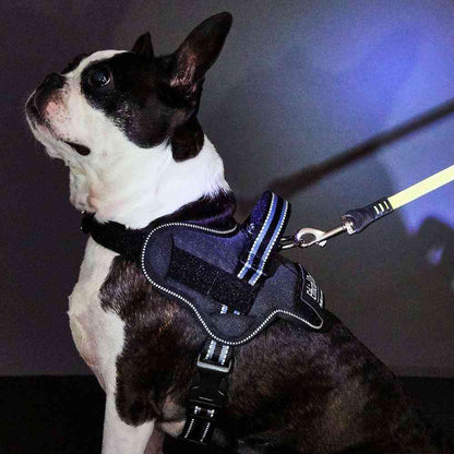 Dog Harness EthicalDoor Easy Wear Harness S