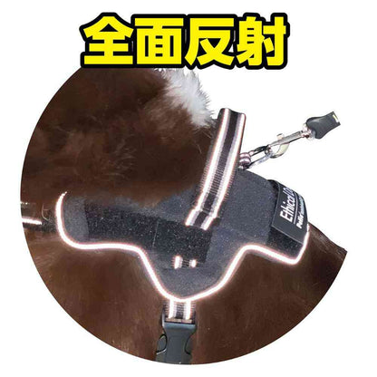 Dog Harness EthicalDoor Easy Wear Harness S
