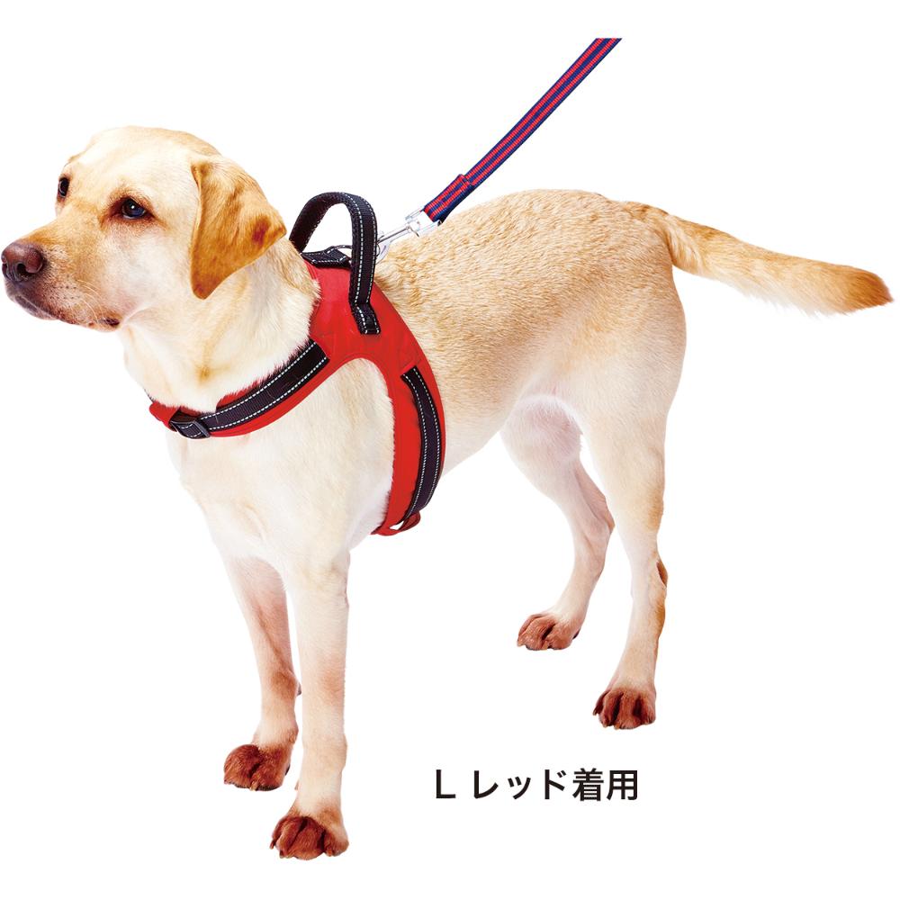 Love Harness L Red
