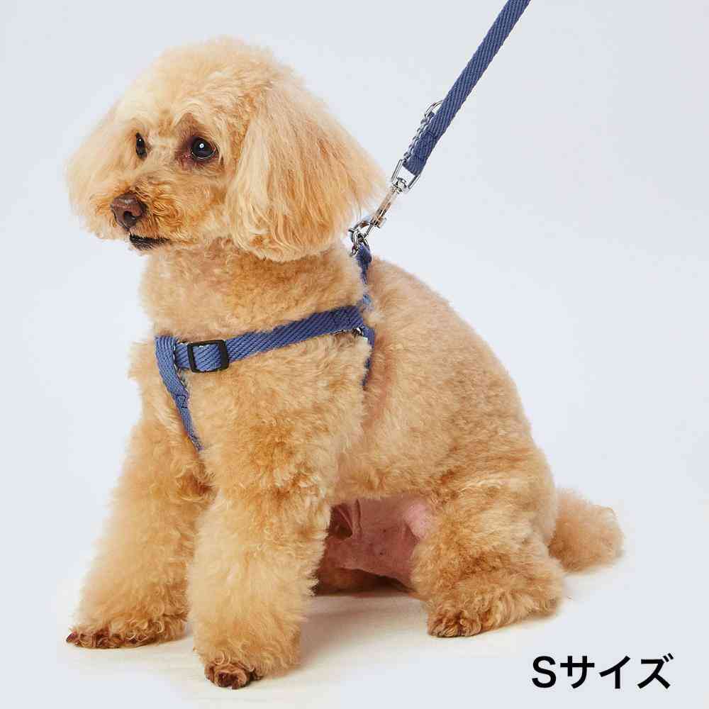 Soft Skip Harness L Blue