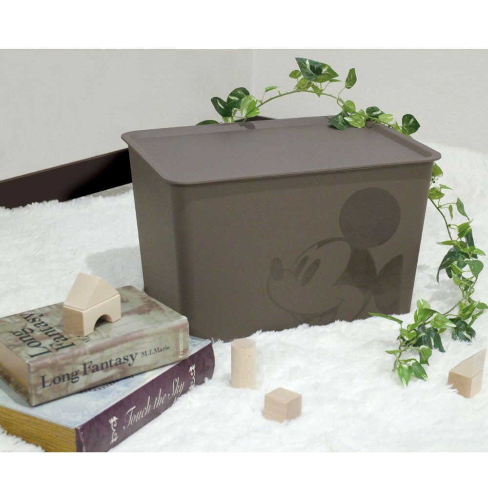 Nishiki Kasei Mickey Mouse Square Box Large Brown