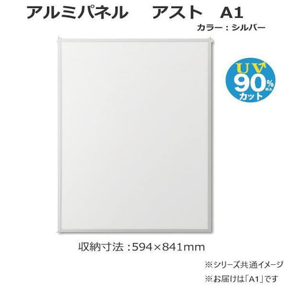 Aluminum Panel Ast A1 Silver