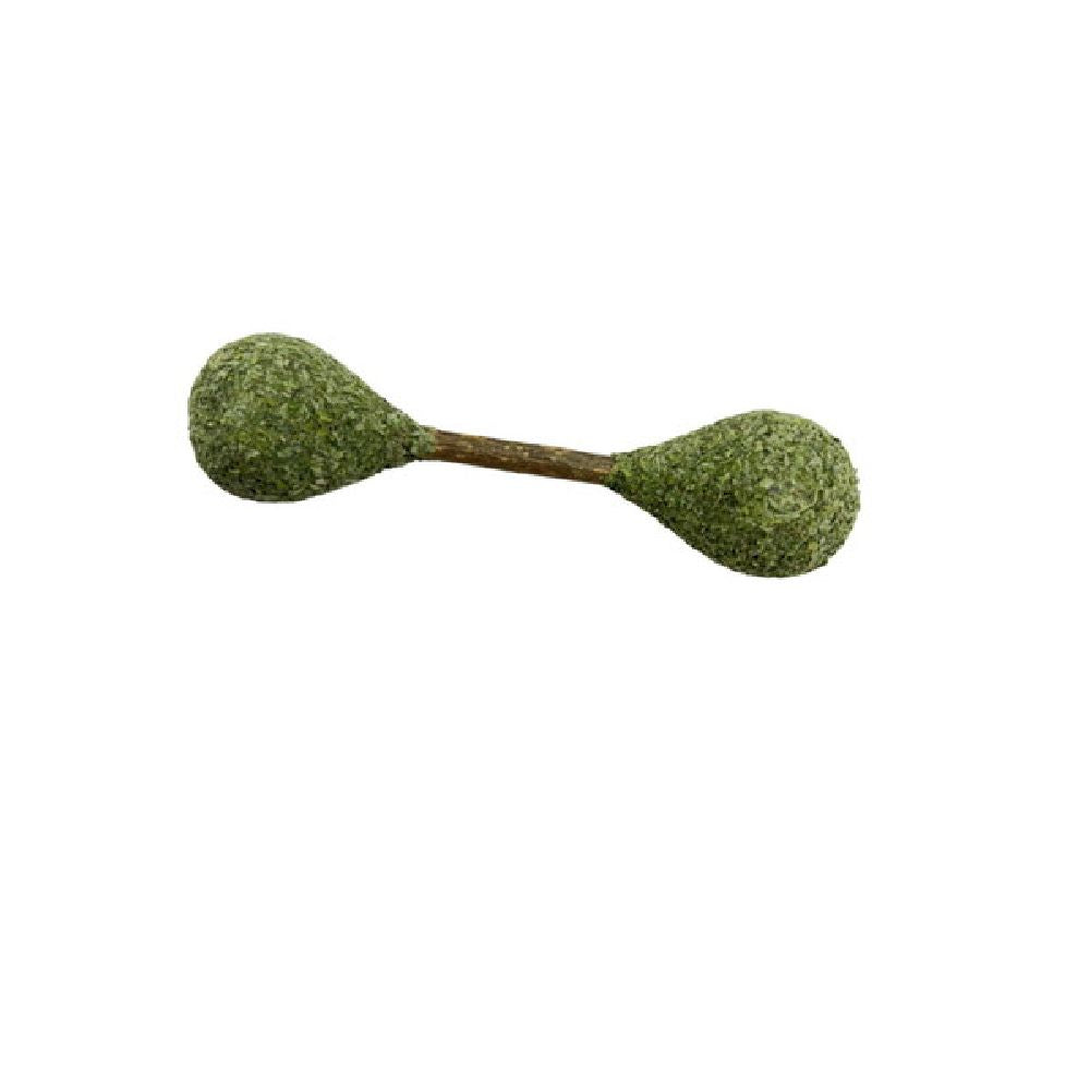 Catnip Toothbrush Stick