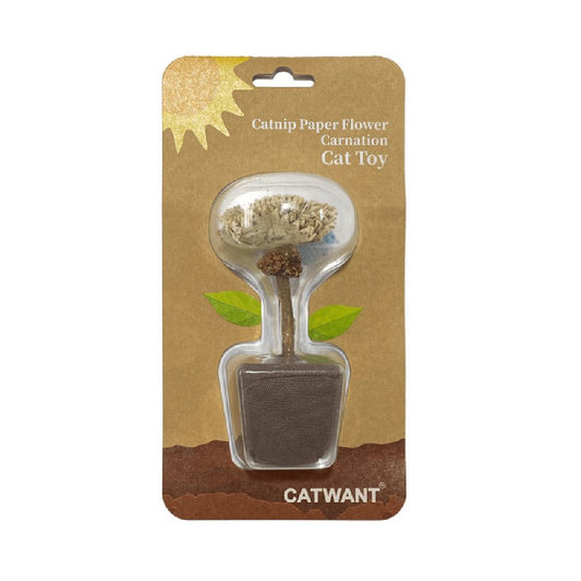 Catnip Carnation