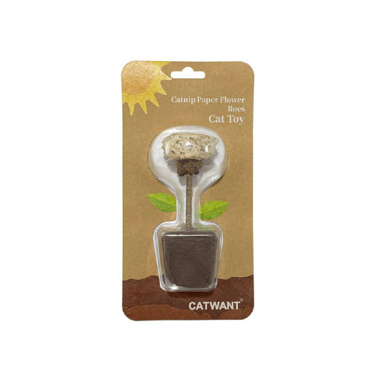 Catnip Rose 1 Piece