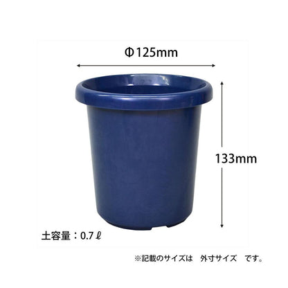 Appleware Long Pot F Type Blue