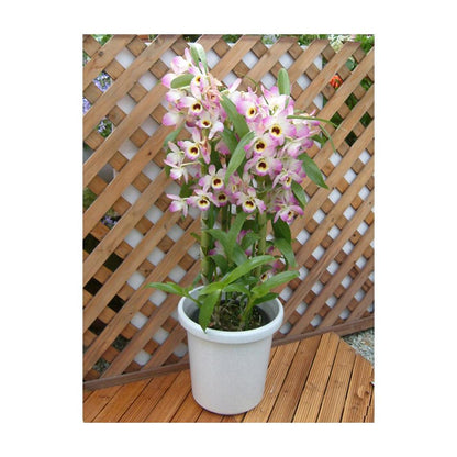 Appleware Long Pot F Type White