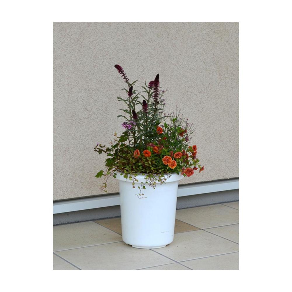 Appleware Long Pot F Type White
