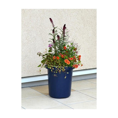 Appleware Long Pot F Type Blue