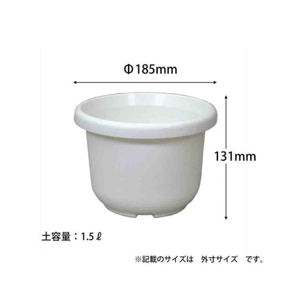 Appleware Round Pot F Type Size 6
