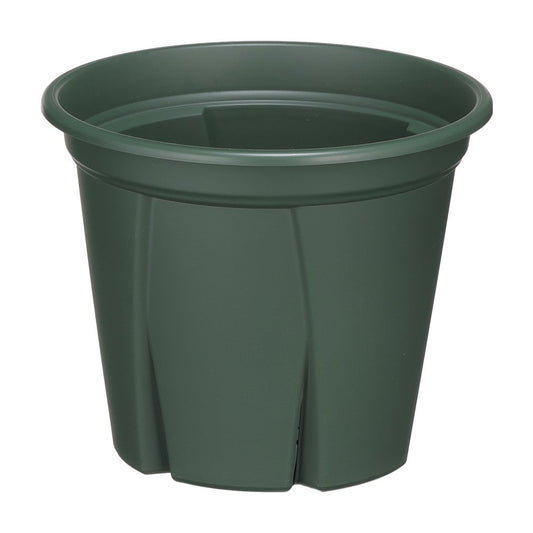 Appleware Strong Roots 5号 Green