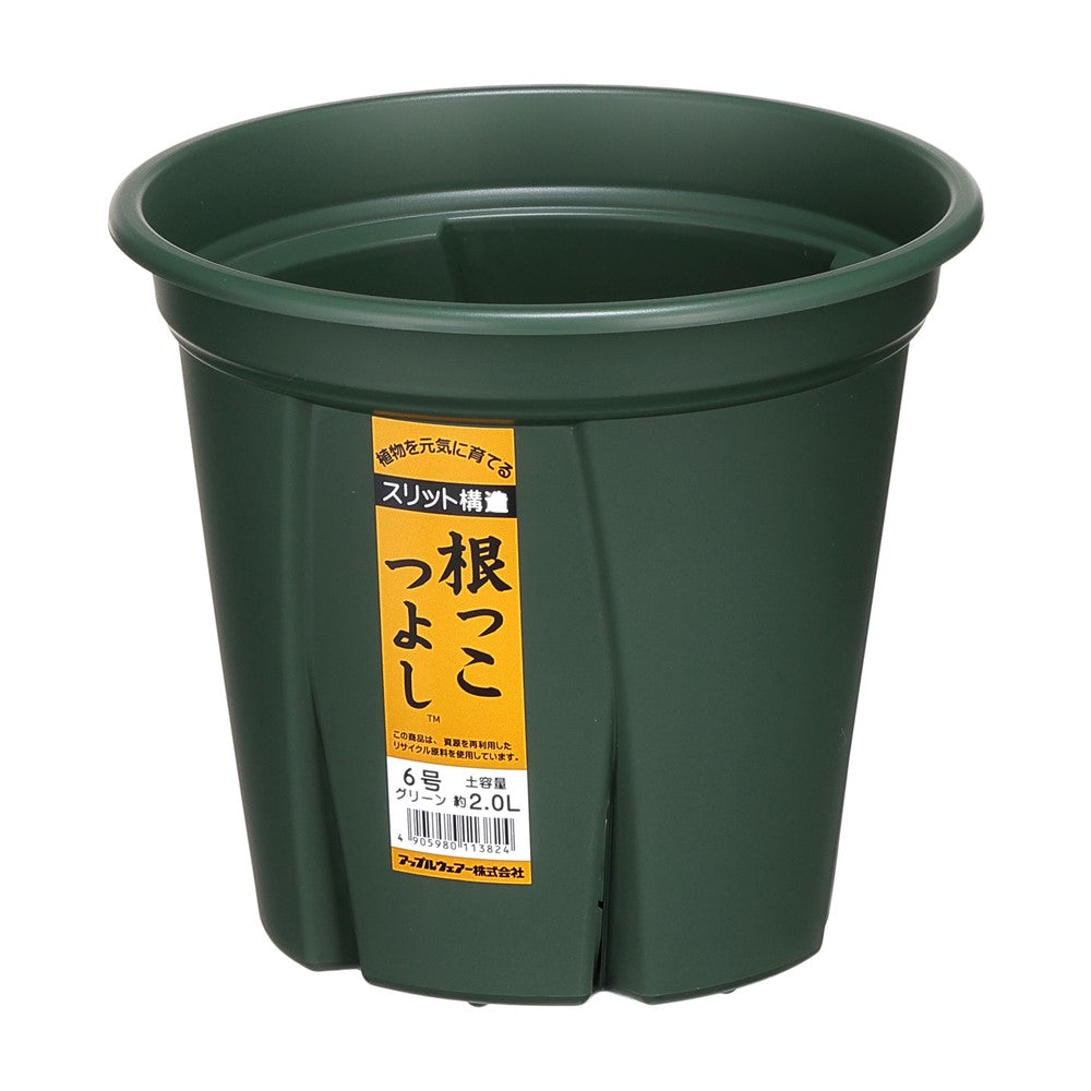 Appleware Strong Roots 5号 Green