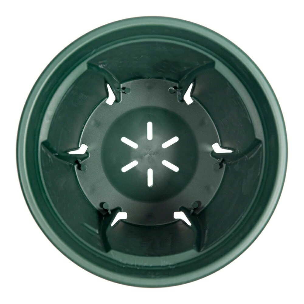 Appleware Strong Roots 5号 Green
