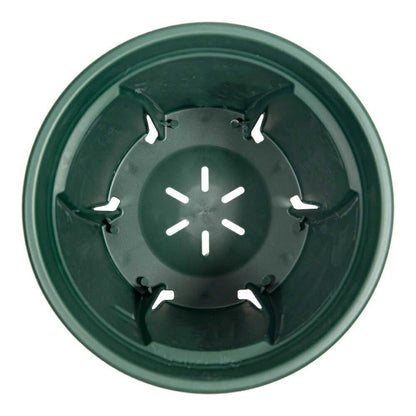 Appleware Strong Roots 5号 Green
