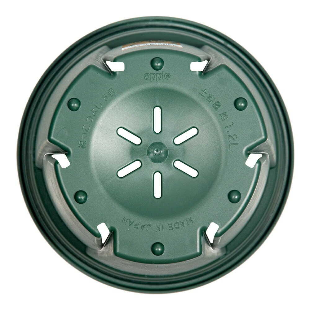 Appleware Strong Roots 5号 Green