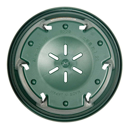 Appleware Strong Roots 5号 Green