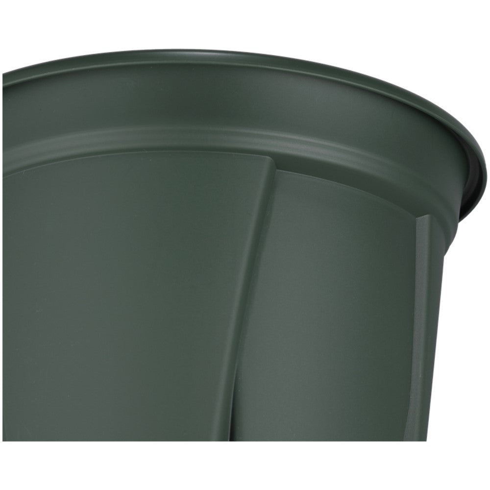 Appleware Strong Roots 5号 Green