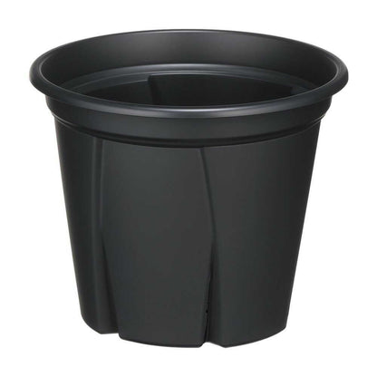 Appleware Strong Roots 6 Type Black
