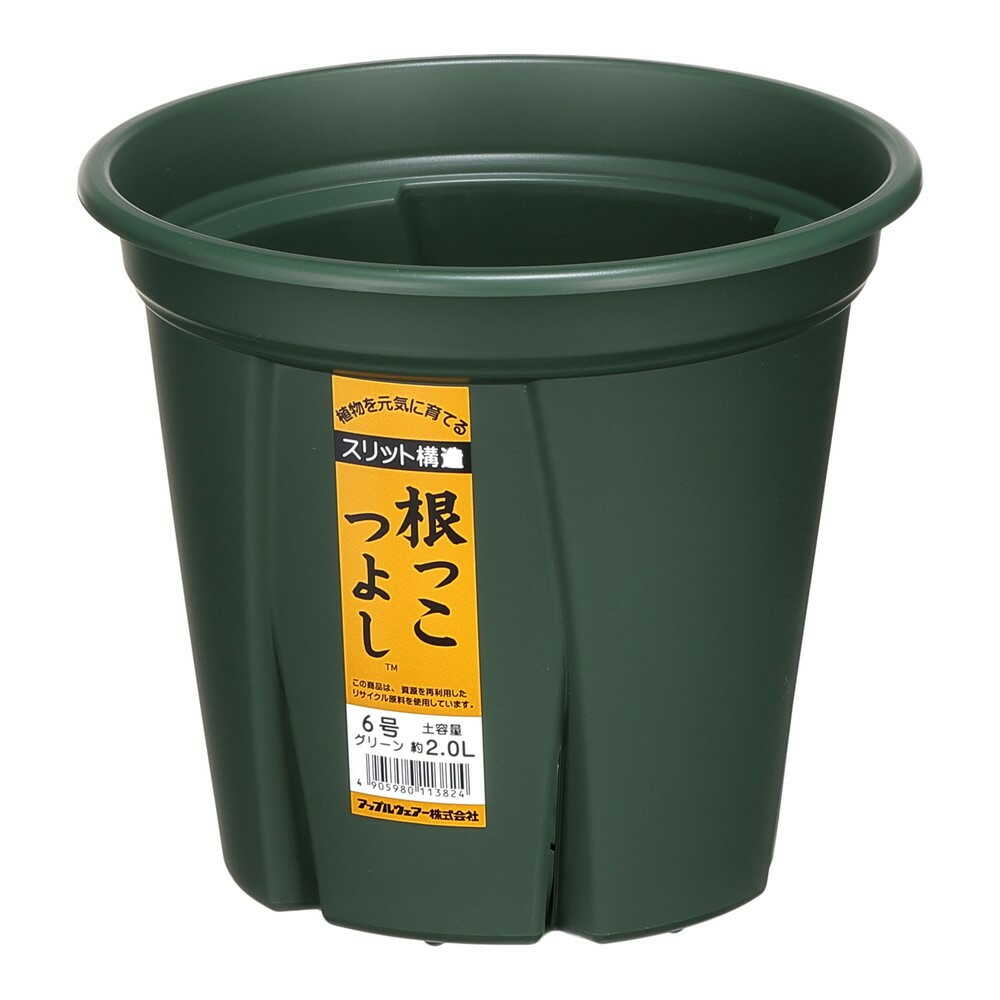 Appleware Strong Roots 6号 Green