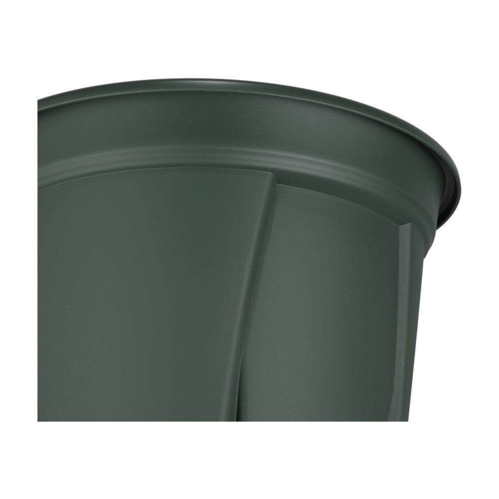 Appleware Strong Roots 6号 Green