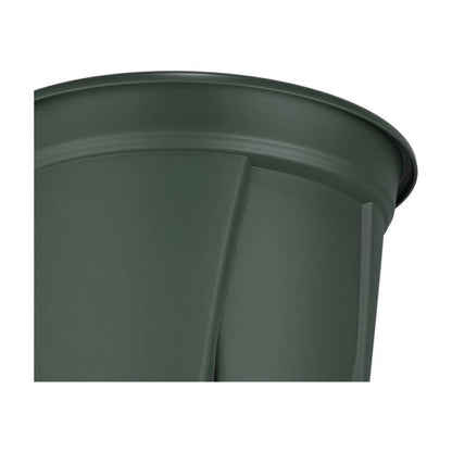 Appleware Strong Roots 6号 Green