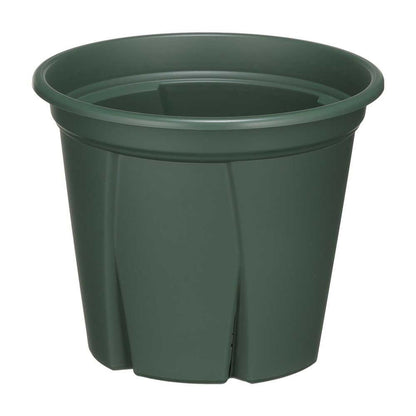 Appleware Strong Roots 6号 Green
