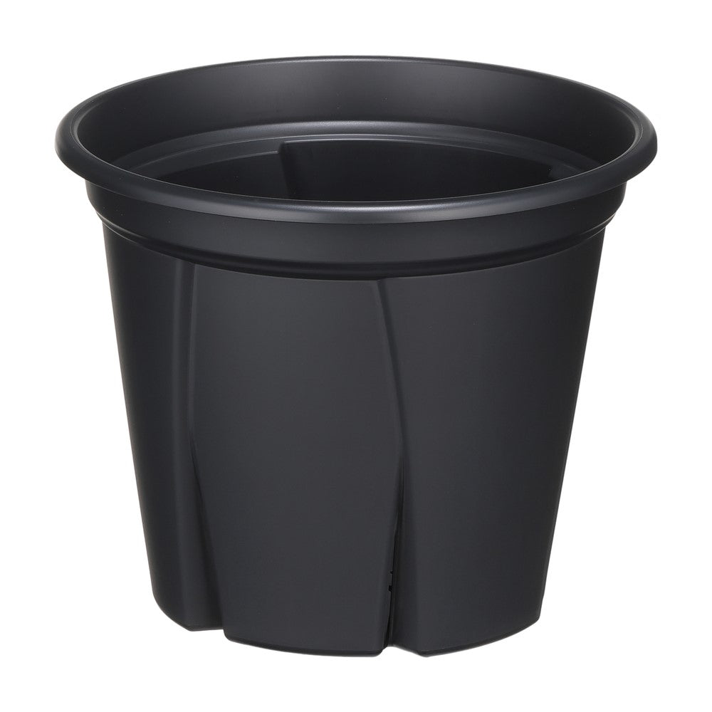 Appleware Strong Roots 7 Type Black