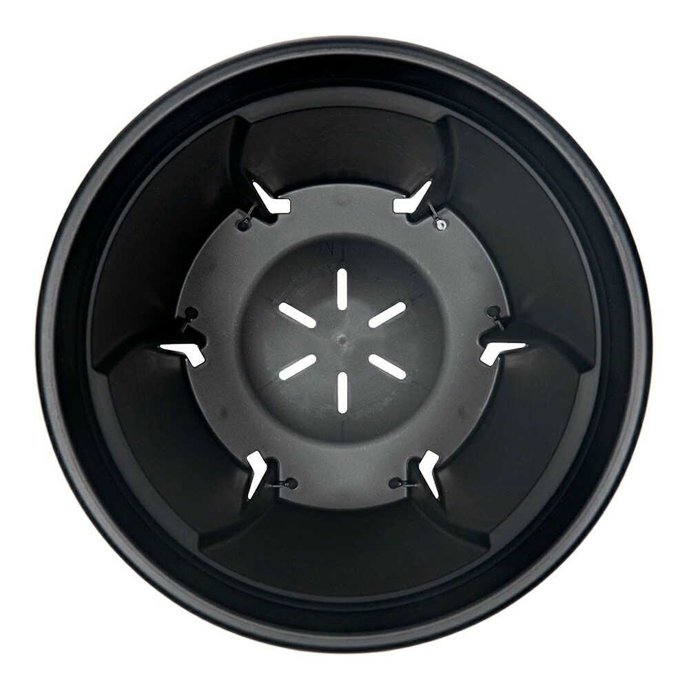 Appleware Strong Roots 8 Type Black