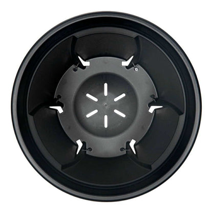 Appleware Strong Roots 8 Type Black