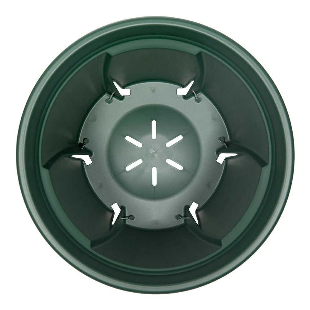 Appleware Strong Roots 8 Type Green