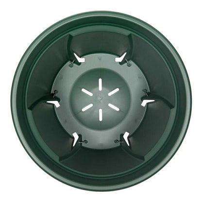 Appleware Strong Roots 8 Type Green
