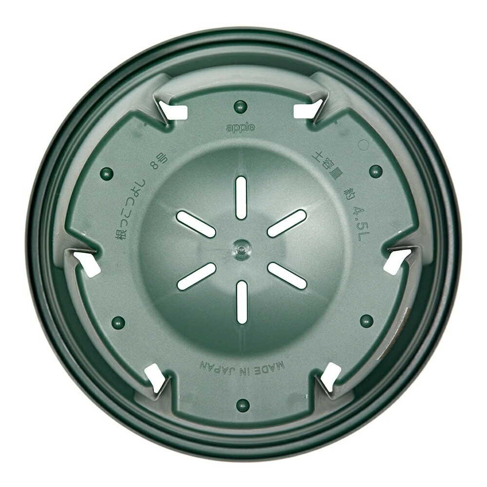 Appleware Strong Roots 8 Type Green