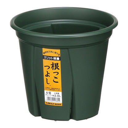 Appleware Strong Roots 9 Type Green