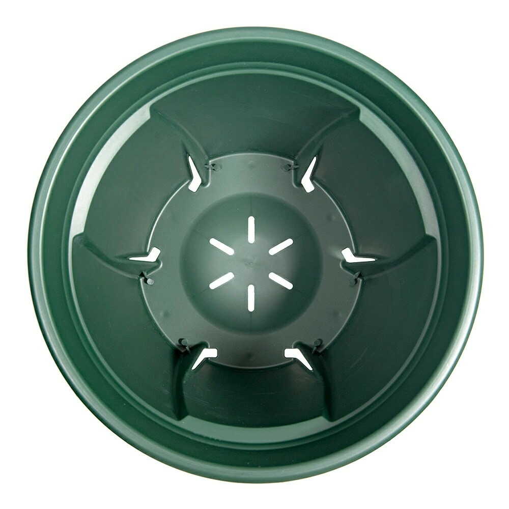 Appleware Strong Roots 9 Type Green