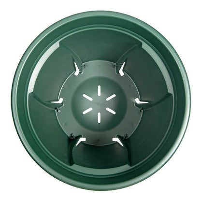 Appleware Strong Roots 9 Type Green