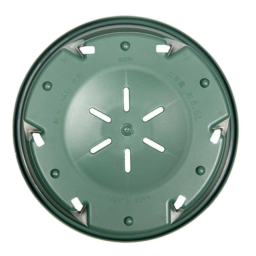 Appleware Strong Roots 9 Type Green