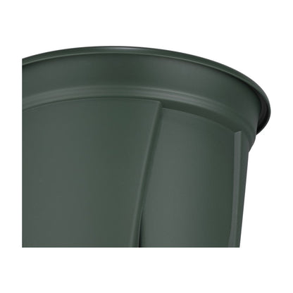 Appleware Strong Roots 9 Type Green