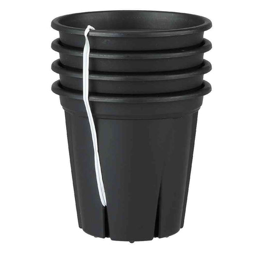 Appleware Root Strong 3.5 No. Black 4-Pack