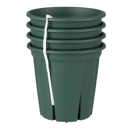 Appleware Root Strong 3.5 Green 4-Pack