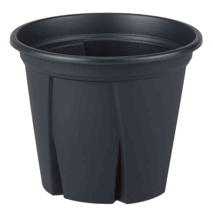 Appleware Root Strong 10 Black