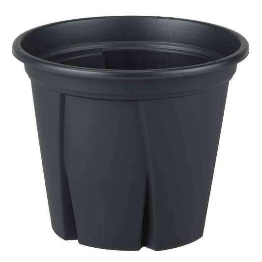 Appleware Root Strong 10 Black